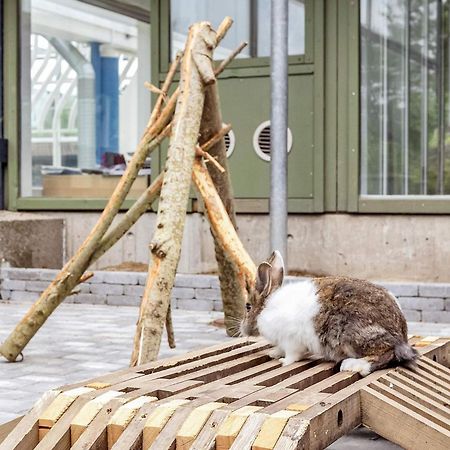 6 Person Holiday Home On A Holiday Park In Гилелай Екстериор снимка